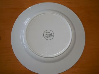 Oneida PICNIC Dinner Plate 10 3/4 