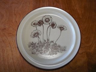 Noritake Stoneware DESERT FLOWERS 8341 Dinner Plate 10 1/2 