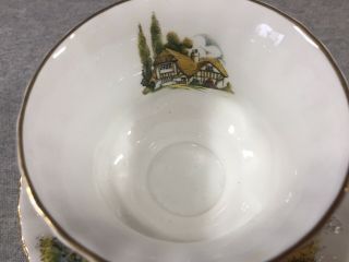 Vintage Royal Albert Fine Bone China Teacup/Saucer,  Countryside 4