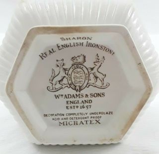 Wm Adams & Sons Creamer Sharon Real English Ironstone Micratex Brown Shamrock 5