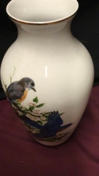 The Danbury Bluebird Roger Tory Peterson Porcelain Vase Serial Number 2429 4