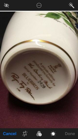 The Danbury Bluebird Roger Tory Peterson Porcelain Vase Serial Number 2429 5