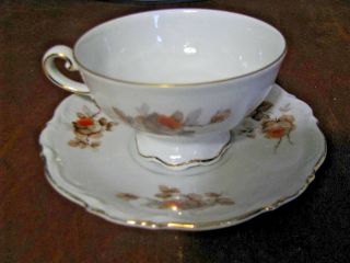 Vintage Bavaria Mitterteich Norway Rose Cup And Saucer Set Germany