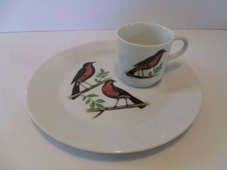 2 - Piece - Vintage Jsc China Melody Bird Design Snack Plate & Cup - 1