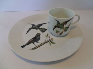 2 - Piece - Vintage Jsc China Melody Bird Design Snack Plate & Cup - 2