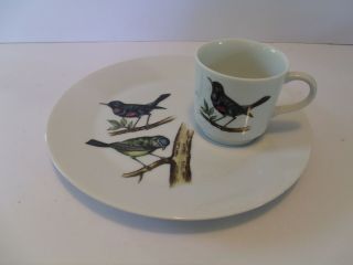 2 - Piece - Vintage Jsc China Melody Bird Design Snack Plate & Cup - 3
