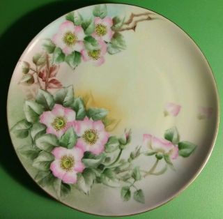 Antique M Z Austria Hand Painted Porcelain Plate Pink Flowers Wild Roses 8 3/4 "
