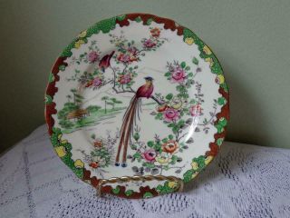 Vintage Aynsley Bone China Bird Of Paradise Rose Floral 6 " Side Plate
