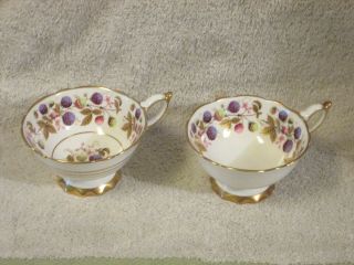 2 Royal Stafford " Golden Bramble " Fine Bone China Tea Cups England Two Designs