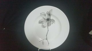 222 Fifth Botanica Dinner Plate (magnolia) Set Of 2