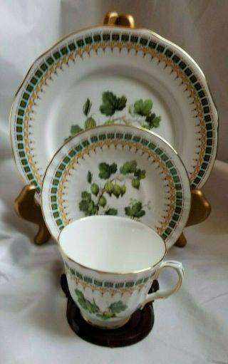 Vintage Duchess Bone China Trio Gooseberry Tea Cup Saucer & Plate 8 1/4 "