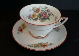 Vintage Thomas Bavaria Fantasy Cup And Saucer Porcelain