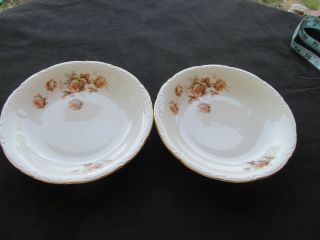 Mitterteich Bavaria Germany Norway Rose 2 Soup Bowls 8 " X 1 1/4 " H