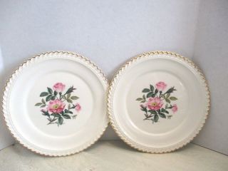 2 The Harker Pottery Co.  White Porcelain Floral Center 6.  25 " Round Dessert Plates