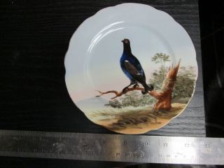 Antique Imperial Vienna Austria Curio Plate Hand Painted Black & Blue Bird