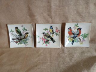 Set Of 3 Vintage Japan Concave Ceramic Bird Wall Plates 3.  75 " Square