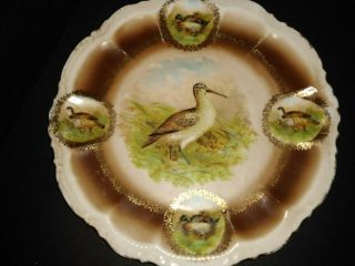 Antique Pm Bavaria Crown Porcelain Game Bird Cabinet Plate W/medallions
