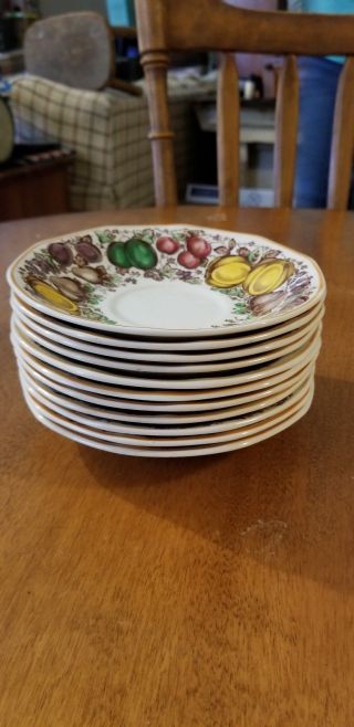 Turkey/thanksgiving Barker Brothers Pattern Tea Cup Saucers