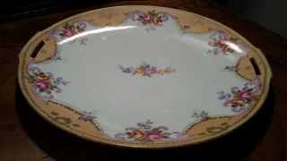 Vintage Rs Germany Tillowitz Silesia Hand Painted,  Roses,  9 3/4 " Handled Plate