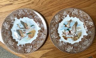 Pair Vintage Plate Wood & Sons England Alpine White Ironstone Ducks In Flight