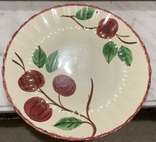 Blue Ridge Southern Potteries Colonial Crab Apple 3773 Dinner Plate 10”