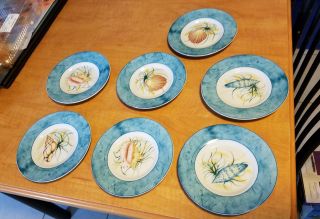 National Wildlife Federation Saucers Sea Shells Set Of 7 Plates