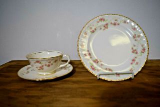 Pope Gosser 52 Florence Cup & Saucer And Snack Plates Your Choice