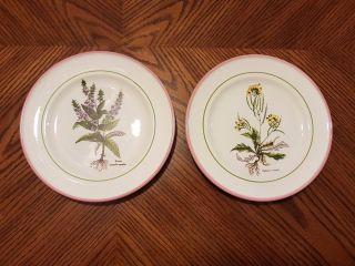 Primula Pottery Hand Painted Set Of 2 Ceramic Salad Plates 8 " Made In Italy