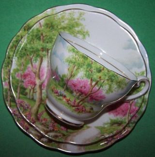 Royal Standard " Springs Gift " Tea Cup & Saucer Fine Bone China England C1950