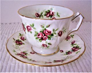 Vintage Anysley Bone China Tea Cup & Saucer - Grotto Rose Pattern - Near