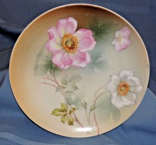 Psag Bavaria Germany Antique Hand Painted Plate Pink & White Flowers On Green