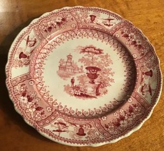 Canova Pattern Staffordshire 4 7/8” Cup Plate Pearlware Stoneware T Mayer C.  1850