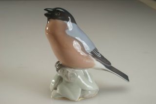 Vintage B&g Bing & Grondahl Denmark Bullfinch Bird Figurine 1909 5 "