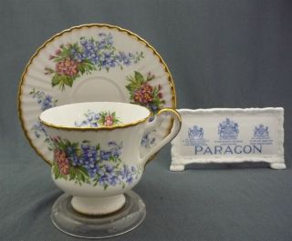 Fancy Paragon England Bone China Gold Trim Blue Flowers Tea Cup & Saucer Duo