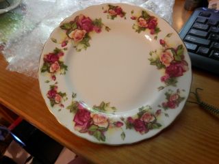 Vintage Plate Royal Chelsea Rose Pattern,  English Bone China,  Made In England 8 "