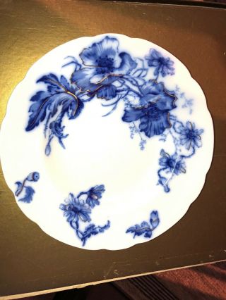 Wm Grindley Flow Blue Poppy Bowl With Gilt Gold 9” Exc