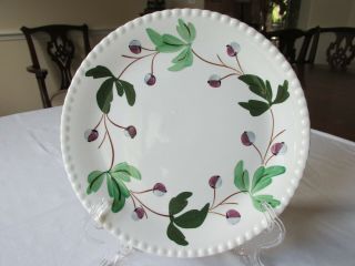Blue Ridge Southern Potteries Mountain Ivy Candlewick Edge Dinner Plate 10 1/4 "