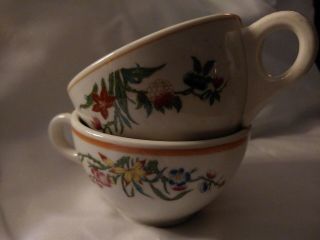 2 Vintage Syracuse China Restaurant Ware Coffee Cups Floral Usa Orange Stripe