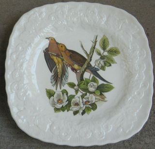 Alfred Meakin Audubon Birds Of America Square Plate 17