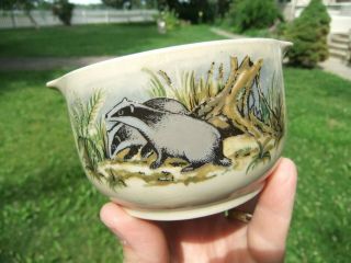 Cp Colditz Porcelain Soup Bowl W/ 2 Badgers On Each Side Made In East Germany