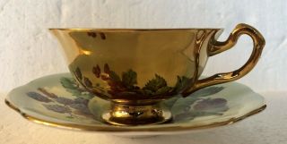 Vintage Rosina Fine Bone China Made In England Tea Cup & Saucer Fruit Gold