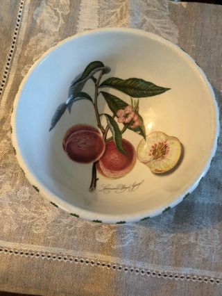 Portmerion Pomona Salad Soup Bowl Vintage
