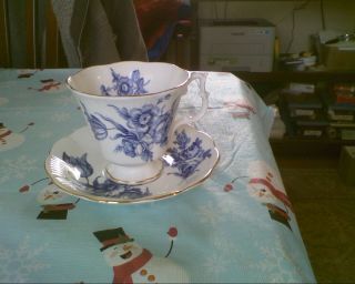 Royal Albert Teacup And Saucer White With Dark Blue Flower Pattern