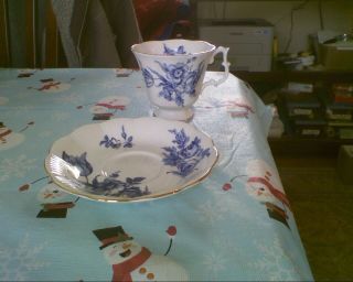 ROYAL ALBERT TEACUP AND SAUCER WHITE WITH DARK BLUE FLOWER PATTERN 2