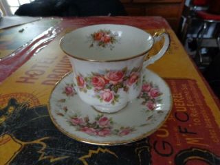 Paragon Elizabeth Rose Fine Bone China Tea Cup And Saucer