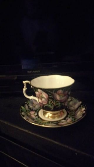 Royal Albert Bone China Tea Cup And Saucer