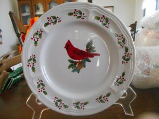 Winter Birds Salad Dessert Plate 8 1/4 " Cardinal Gibson Stoneware White Red