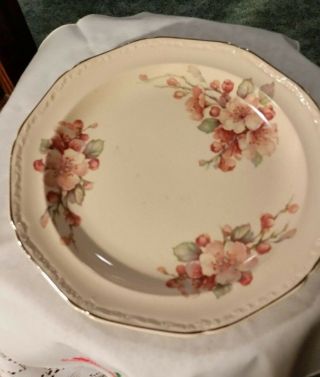 Alice Ann May Glow 1931 Edwin M.  Knowles China Co 9 1/2 " Plate Crazed No Chips
