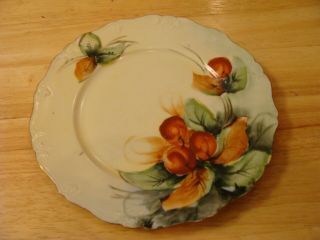Antique Hand - Painted Porcelain 8.  5 " Plate Fruit Marked Bassett Limoges Austria