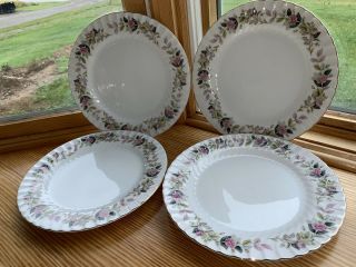 Creative Regency Rose Fine China Dinner Plates (set Of 4)